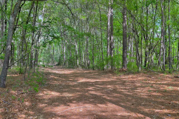 $1,499,000 | 2146 Thomson Highway, Warrenton, GA 30828