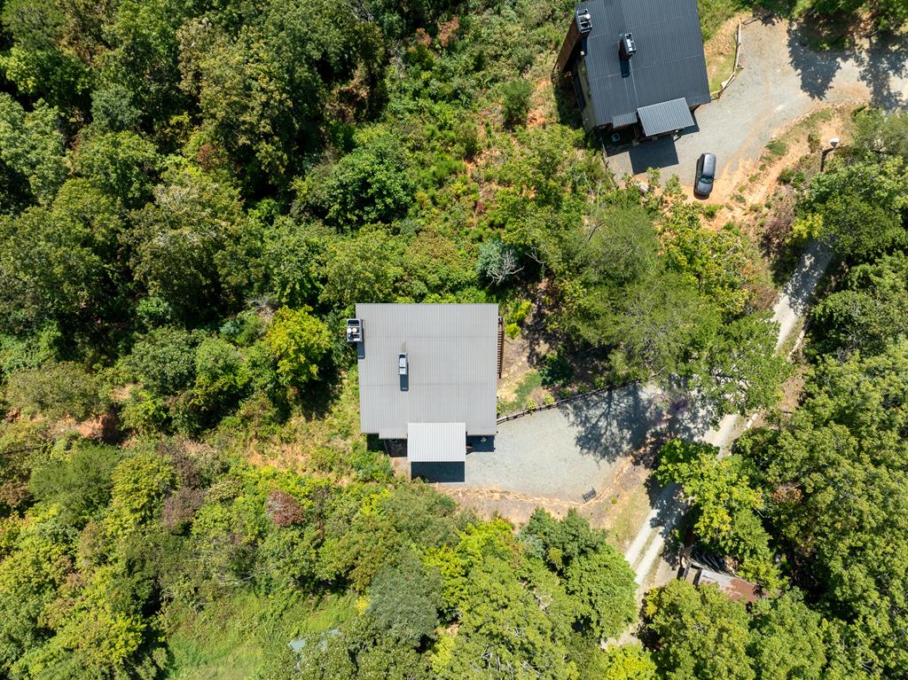 220 Firefly Road Blue Ridge, GA 30513 - Photo 21 of 74 Gallery Image 21