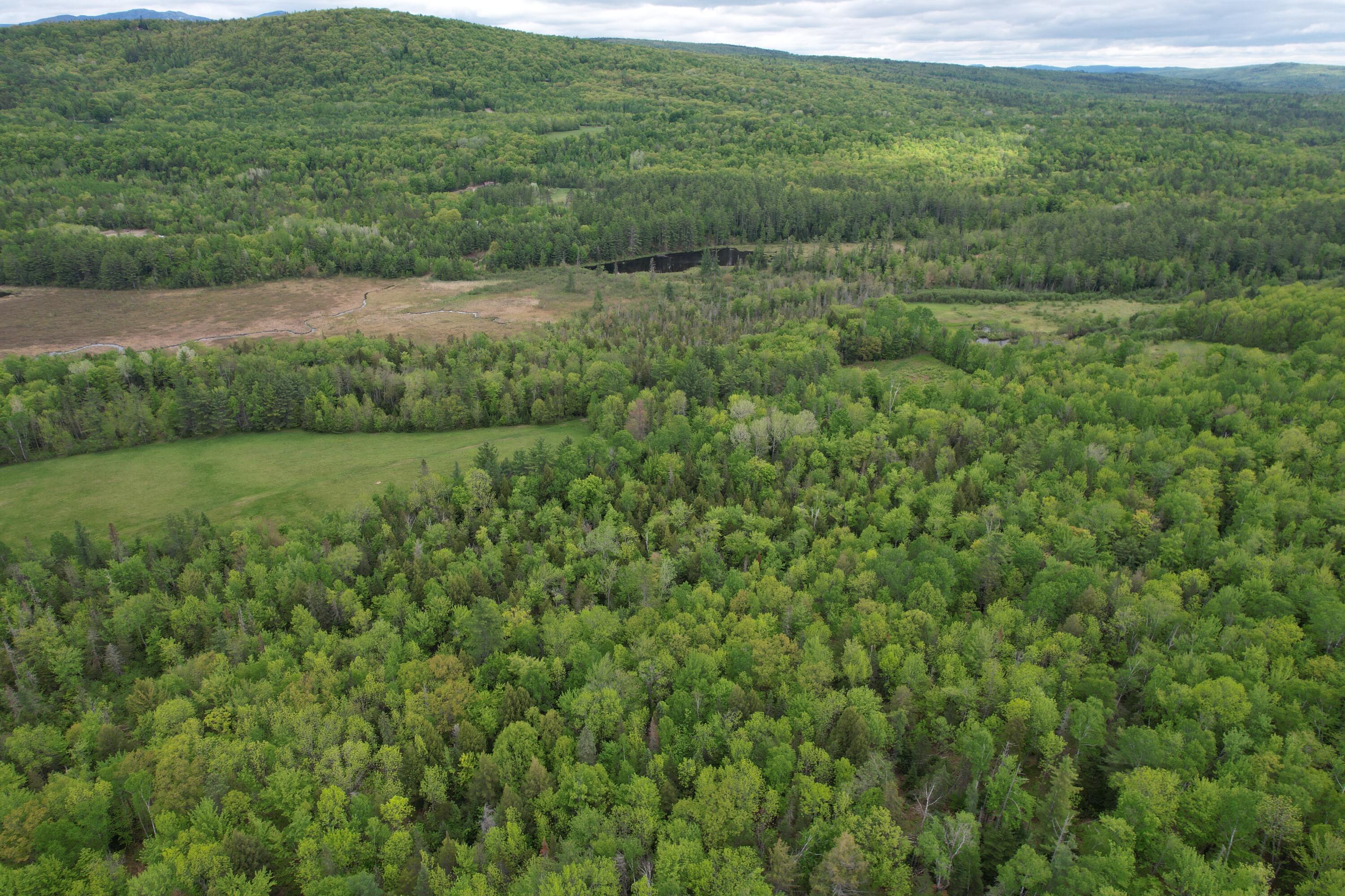 212 Mile Square Road Phillips, ME 04966 - Photo 9 of 33 DJI_0310