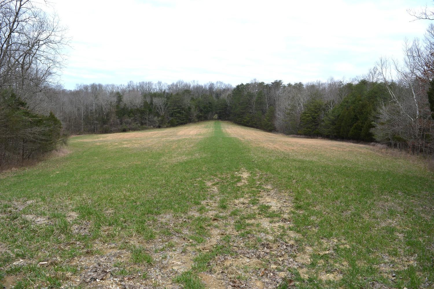 1 Ashes Creek Road Bloomfield, KY 40008 - Photo 16 of 21 Photo 16