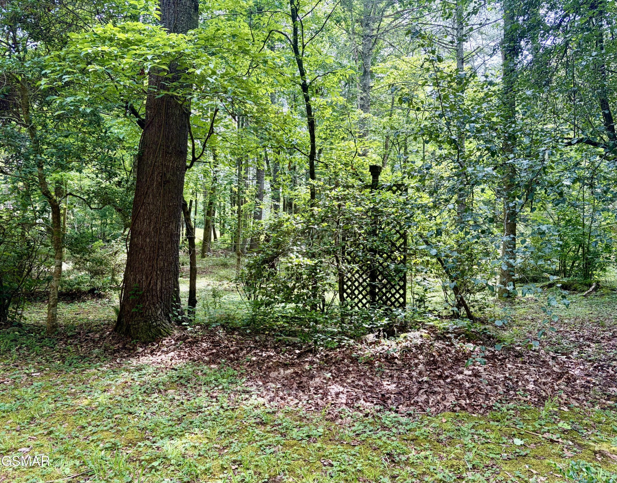 2876 McMahan Sawmill Road Sevierville, TN 37862 - Photo 12 of 36 Gallery Image 12
