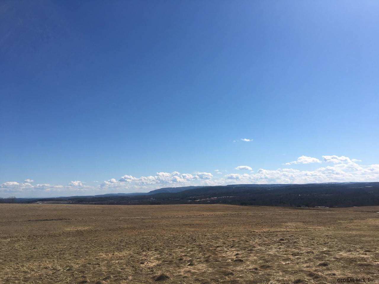 0 Pangburn Road Rotterdam, NY 12306 - Photo 1 of 1 Photo 1
