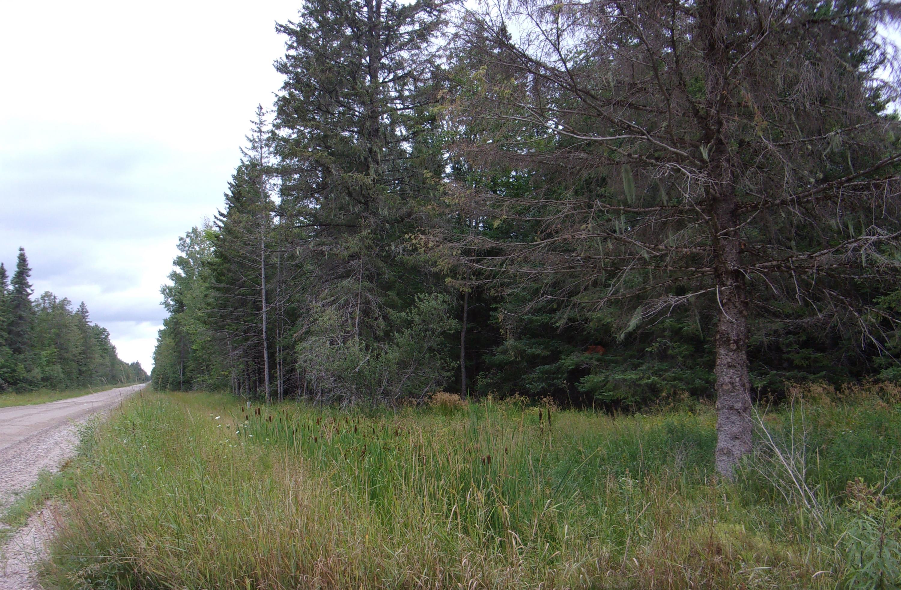 6052 South Hulbert Road Hulbert, MI 49748 - Photo 9 of 11 Gallery Image 9