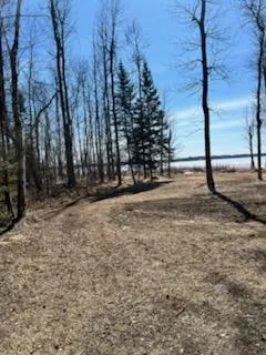 $119,900 | 42585 Little Turtle Road, Bigfork, MN 56628