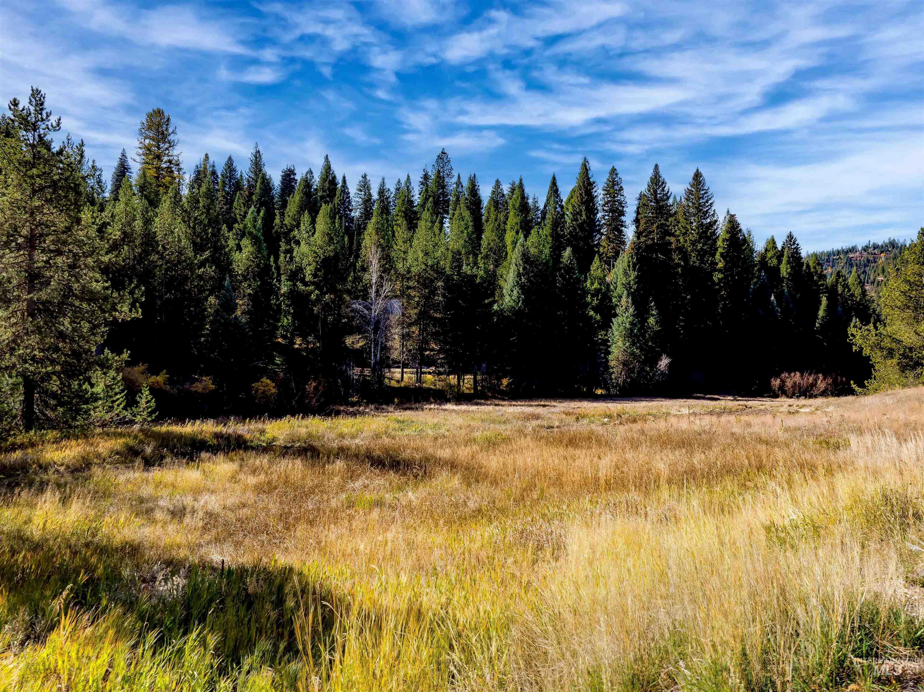 201 Tripod View Cascade, ID 83611 - Photo 11 of 41 View of woods featuring a view of countryside