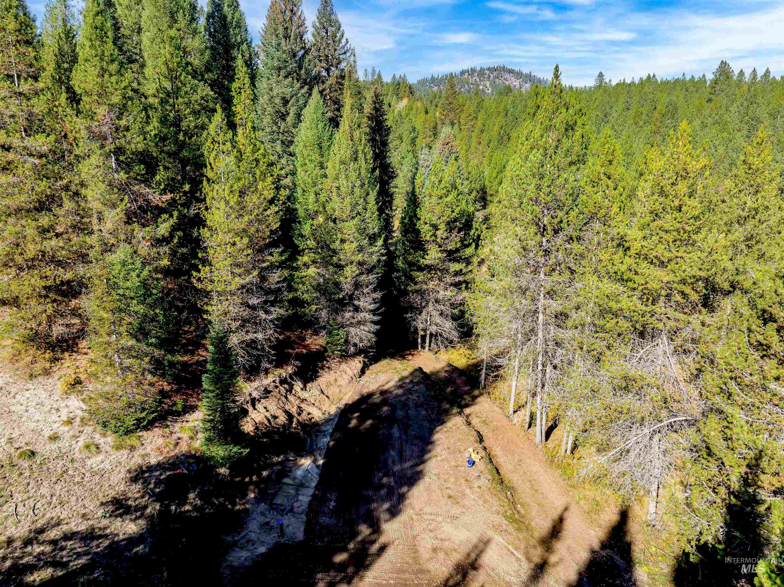 201 Tripod View Cascade, ID 83611 - Photo 18 of 41 Bird's eye view of a heavily wooded area