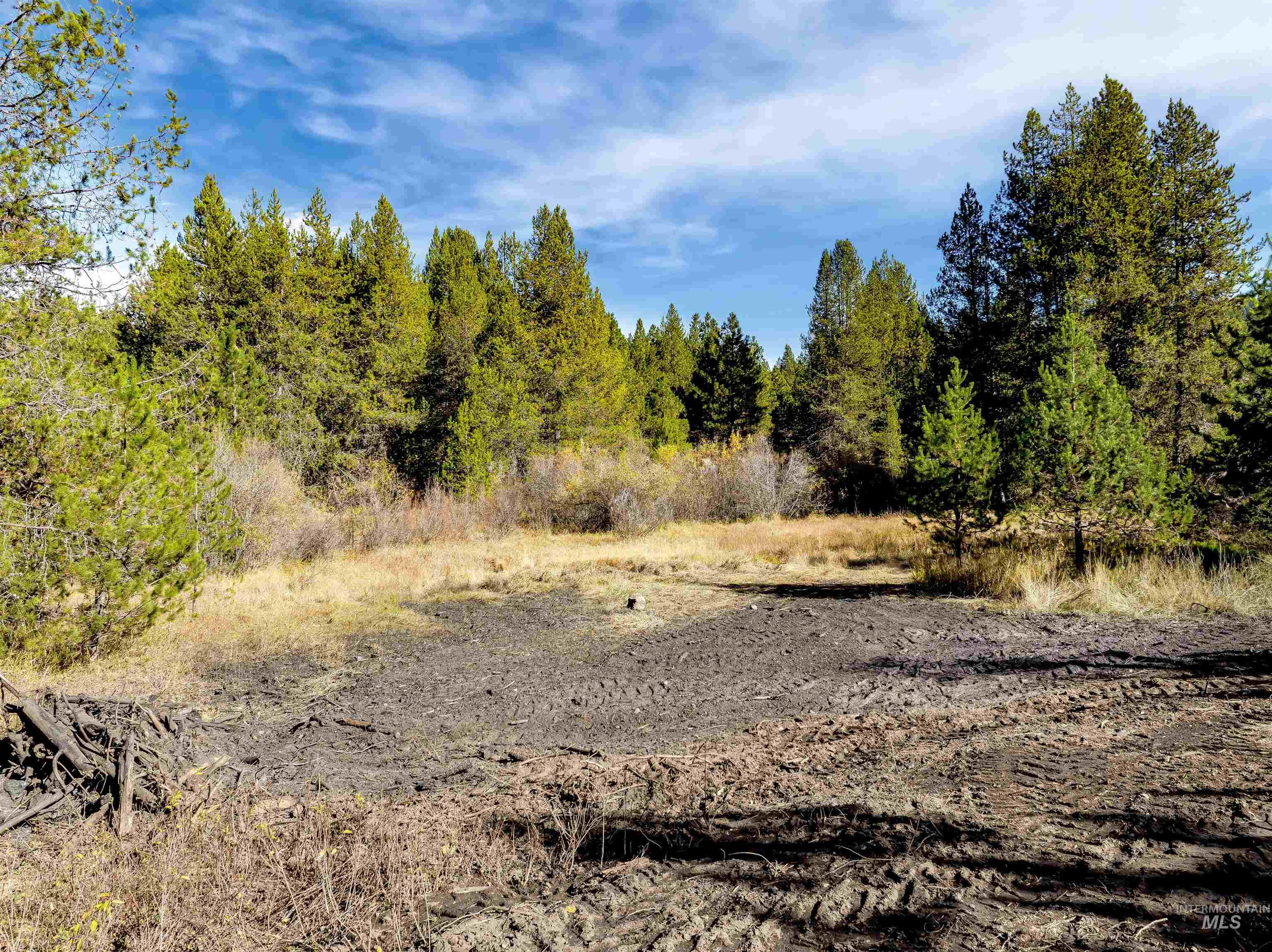 201 Tripod View Cascade, ID 83611 - Photo 20 of 41 View of nature