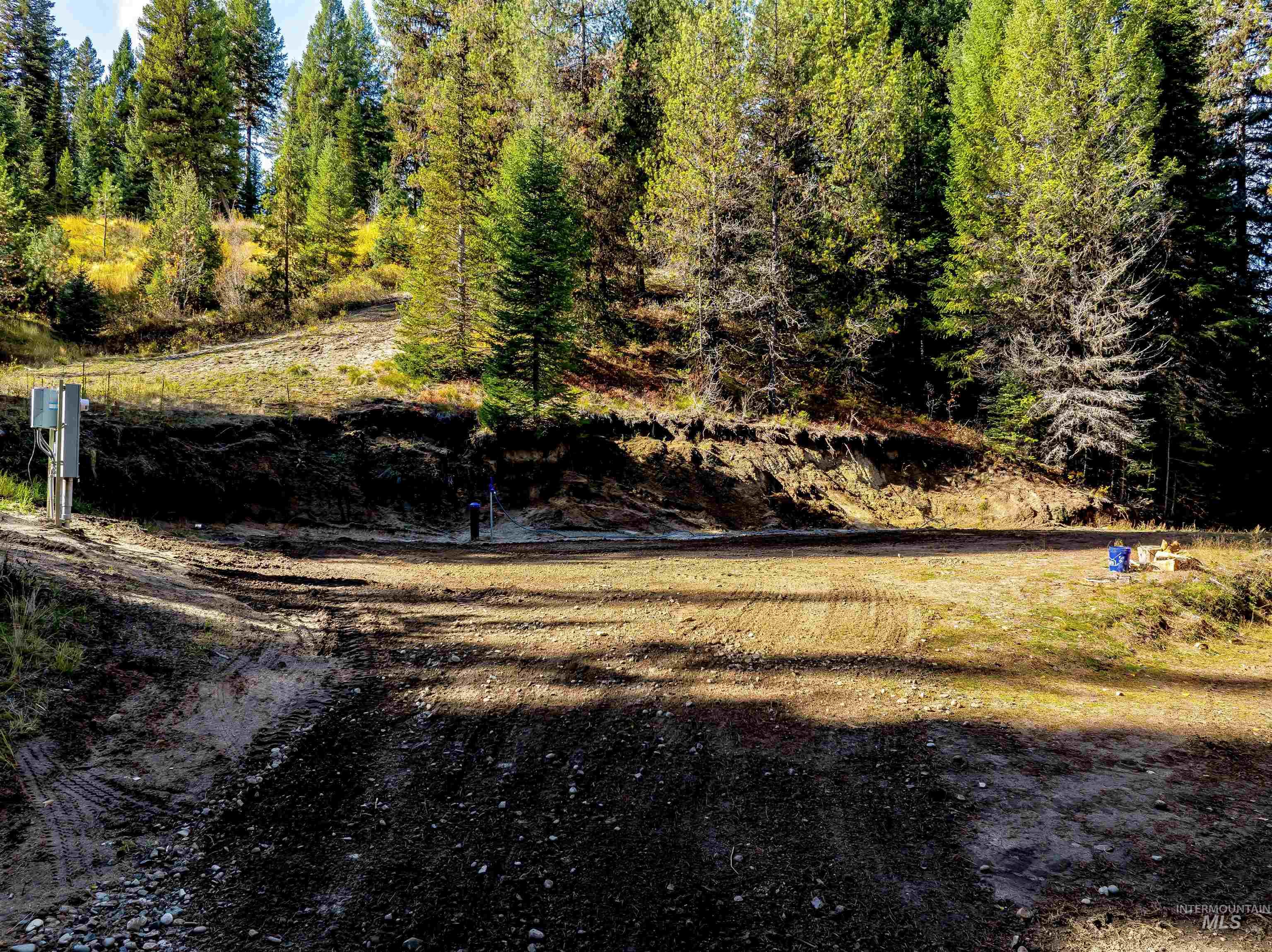 201 Tripod View Cascade, ID 83611 - Photo 21 of 41 View of yard
