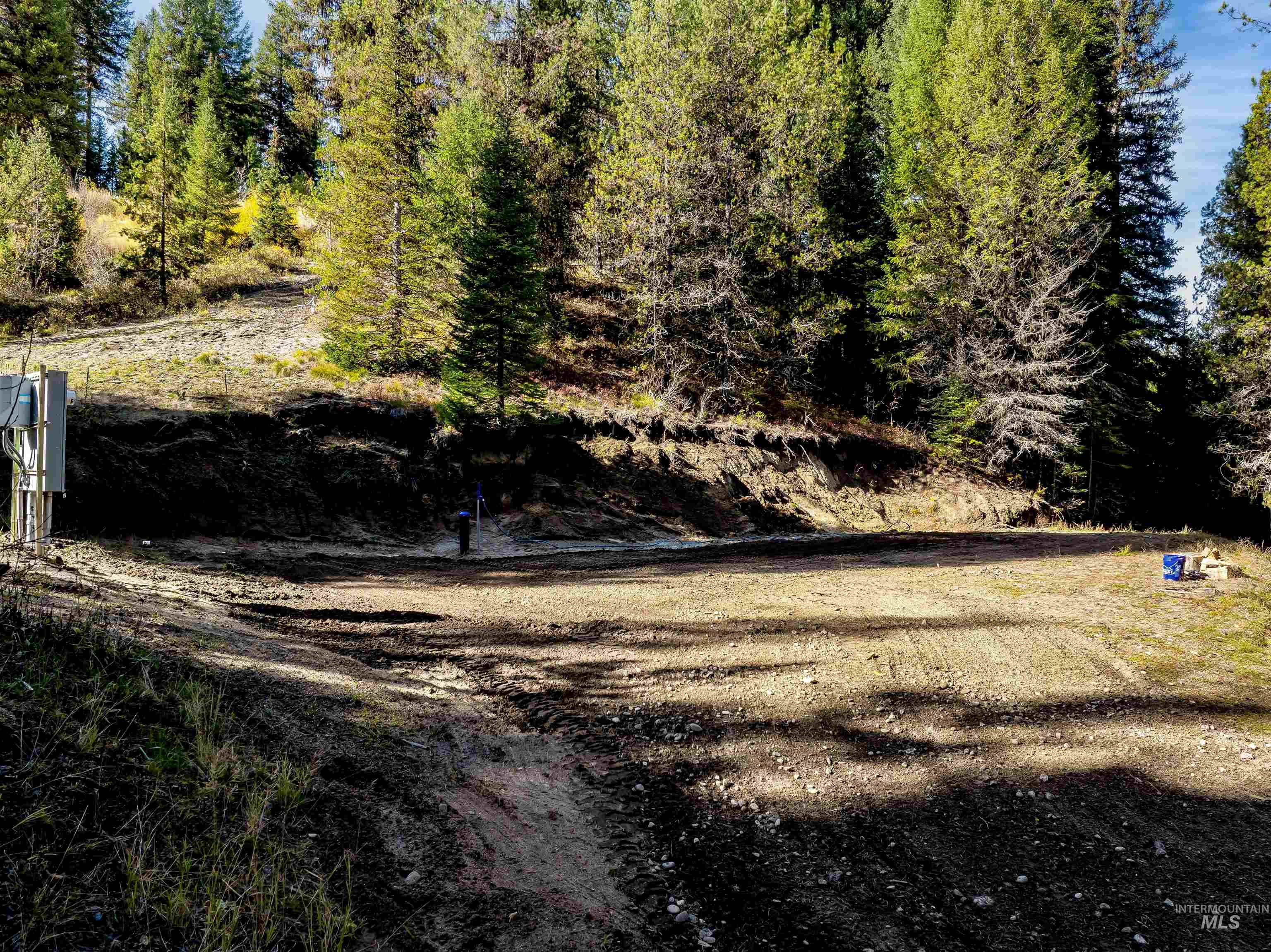 201 Tripod View Cascade, ID 83611 - Photo 23 of 41 View of yard
