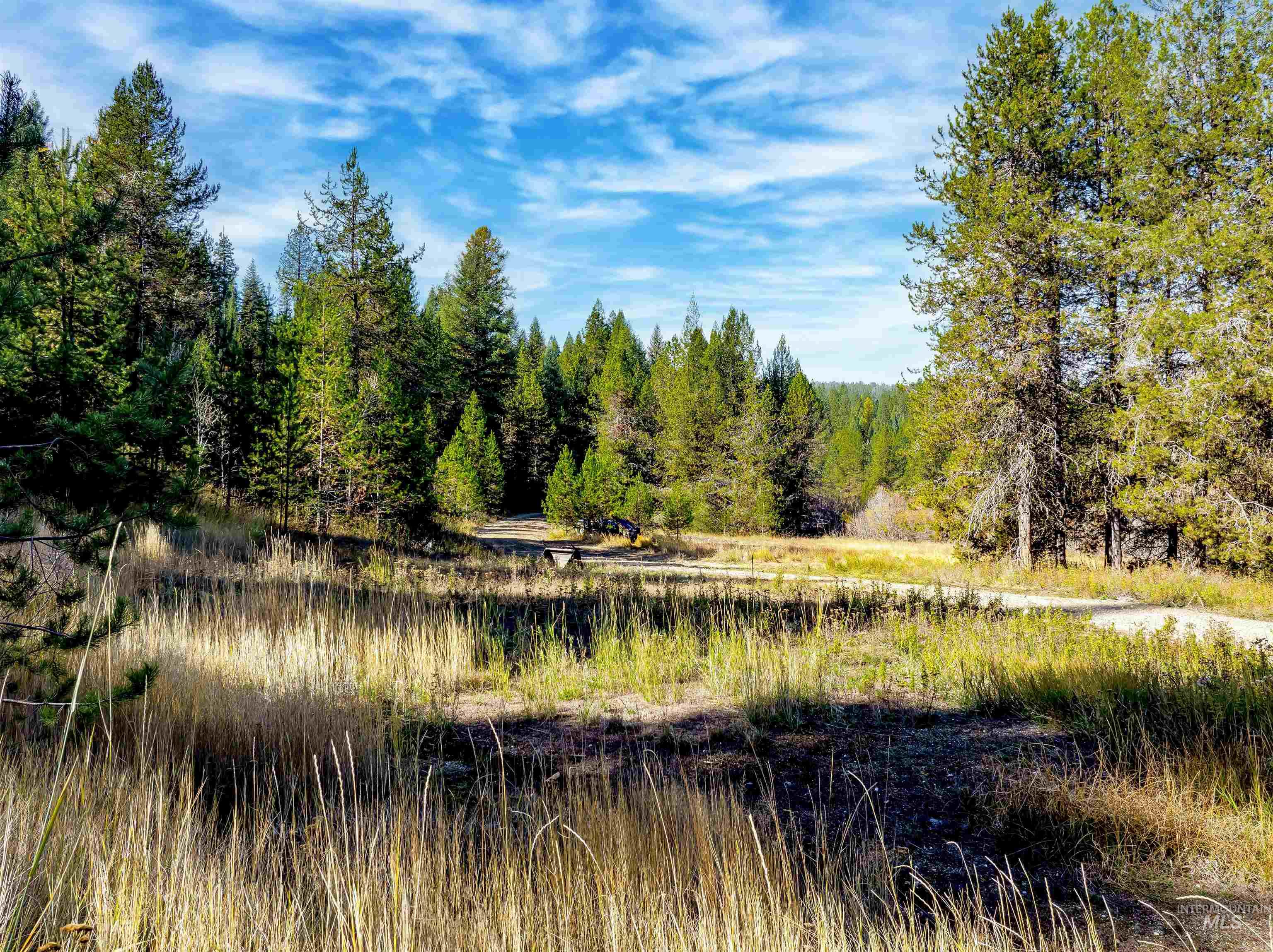 201 Tripod View Cascade, ID 83611 - Photo 24 of 41 View of woods with a water view