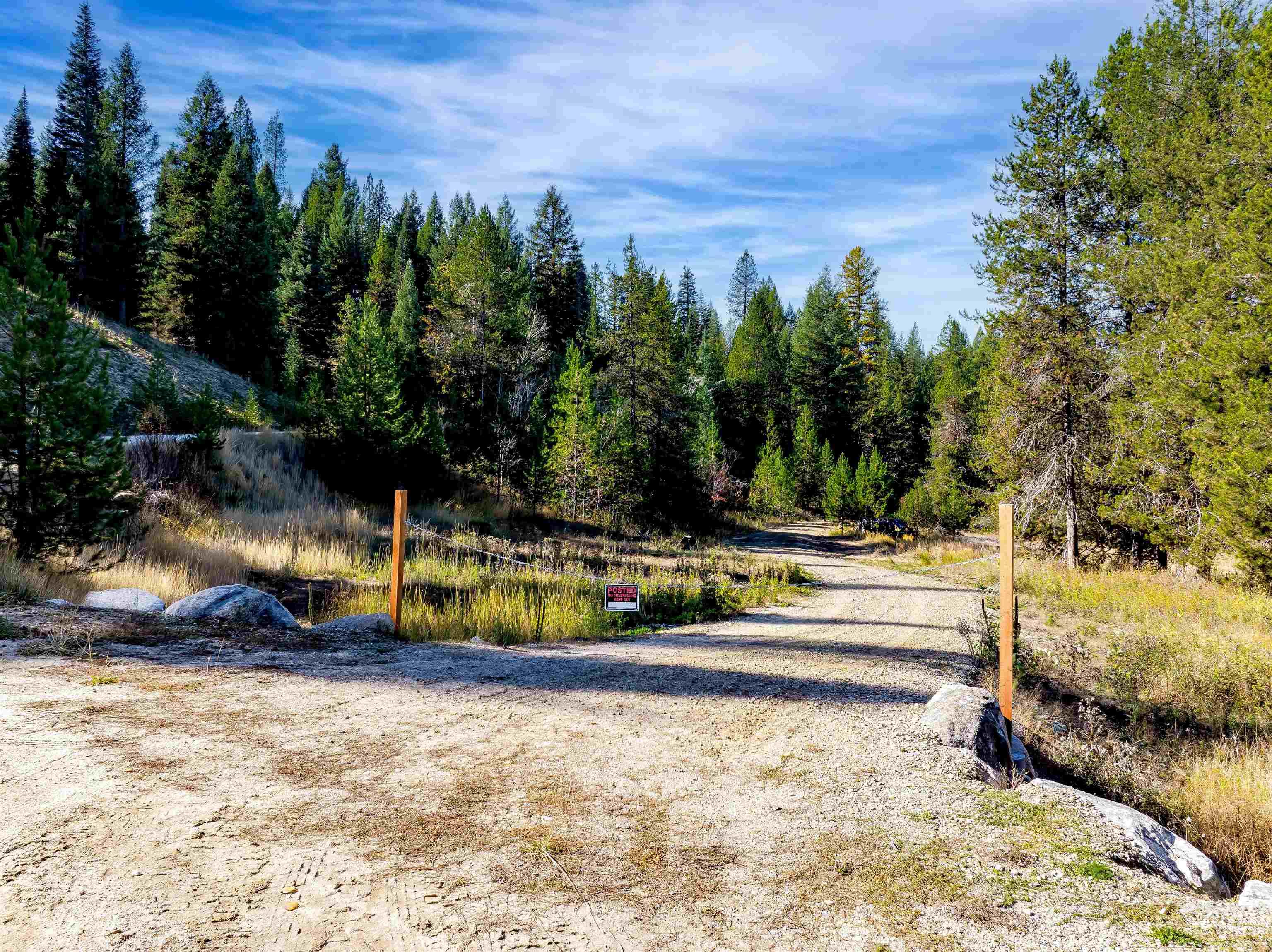 201 Tripod View Cascade, ID 83611 - Photo 25 of 41 View of dirt / gravel road featuring a view of trees