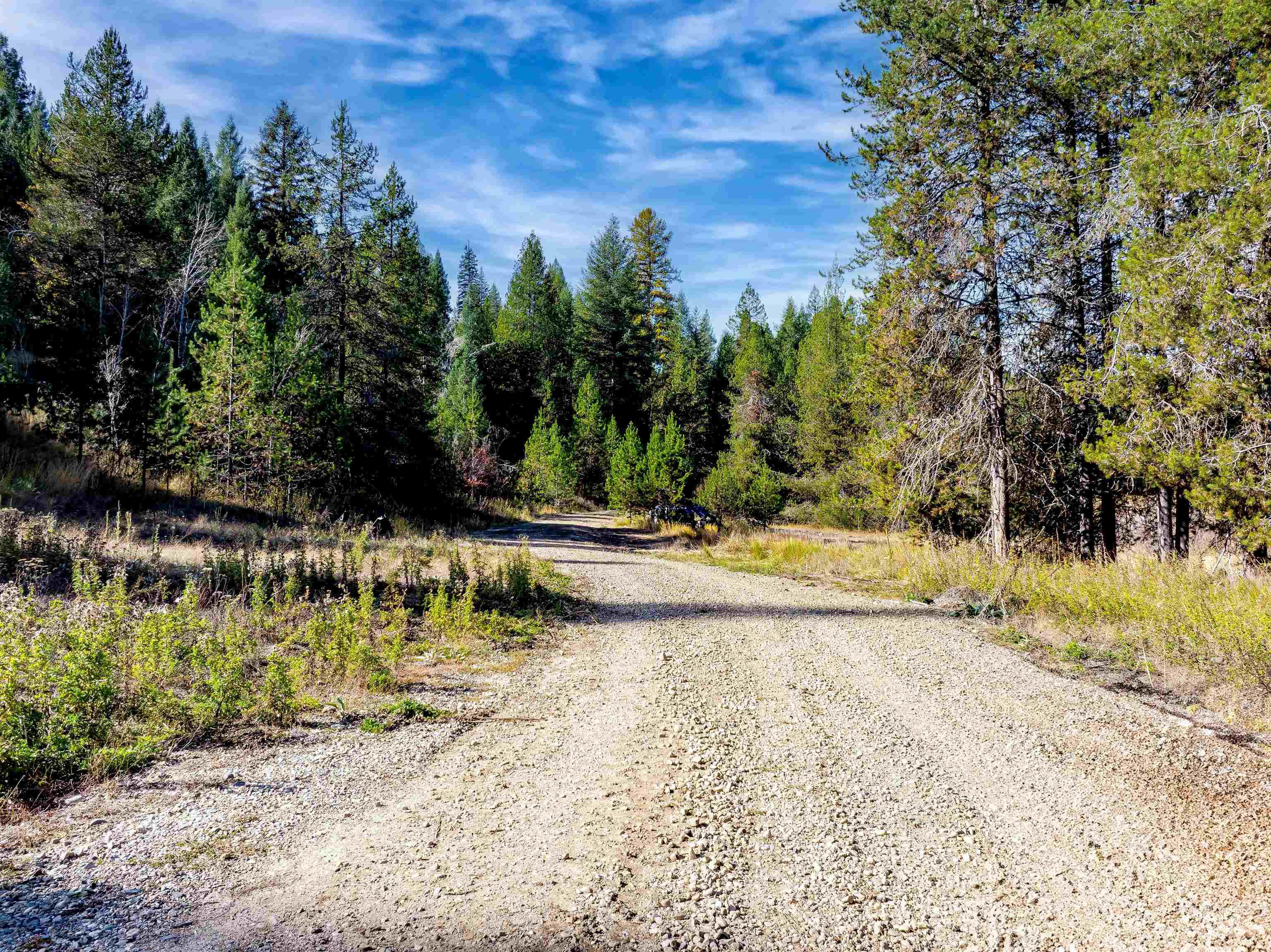 201 Tripod View Cascade, ID 83611 - Photo 26 of 41 View of dirt / gravel road