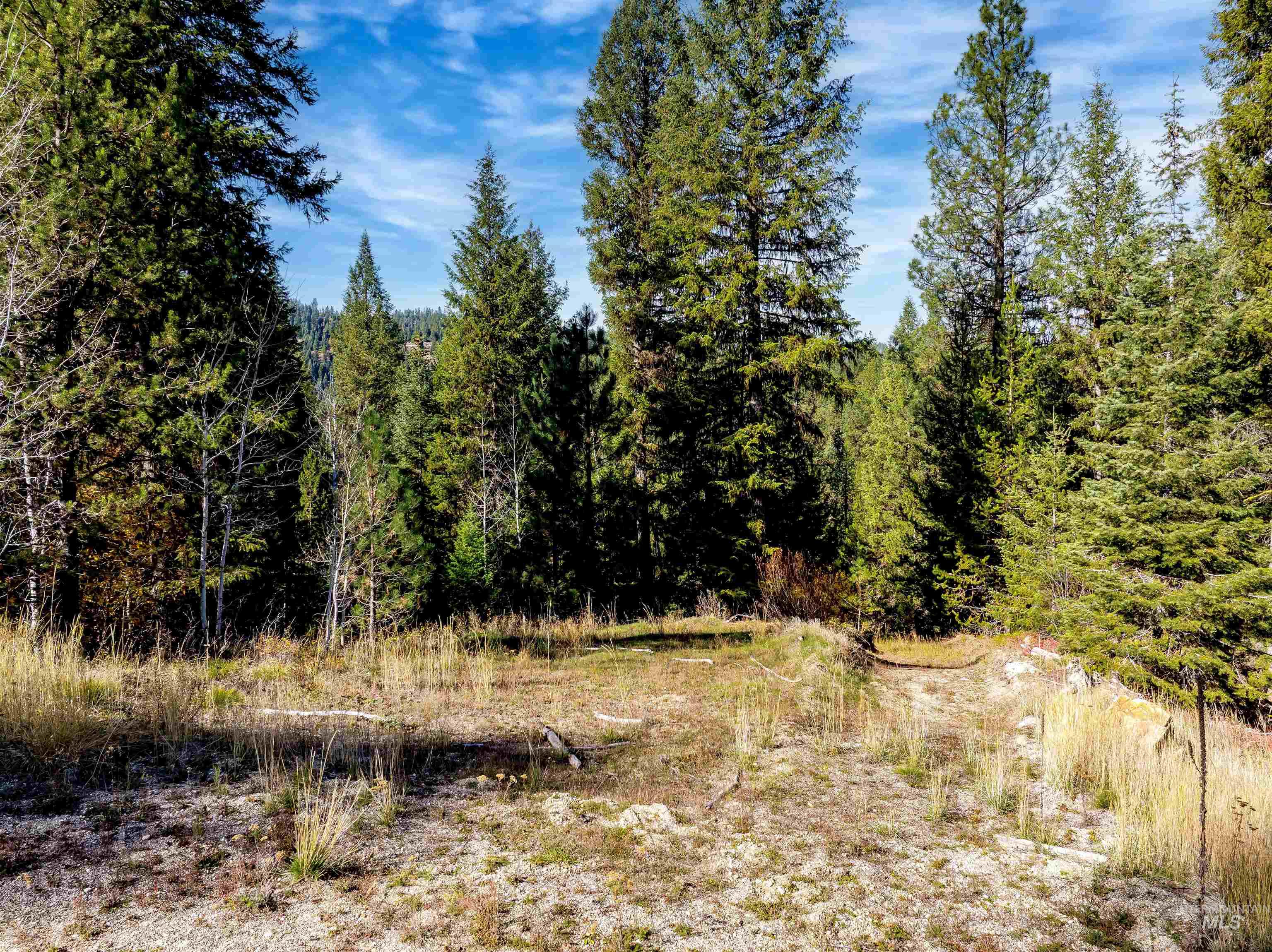 201 Tripod View Cascade, ID 83611 - Photo 27 of 41 View of wooded area