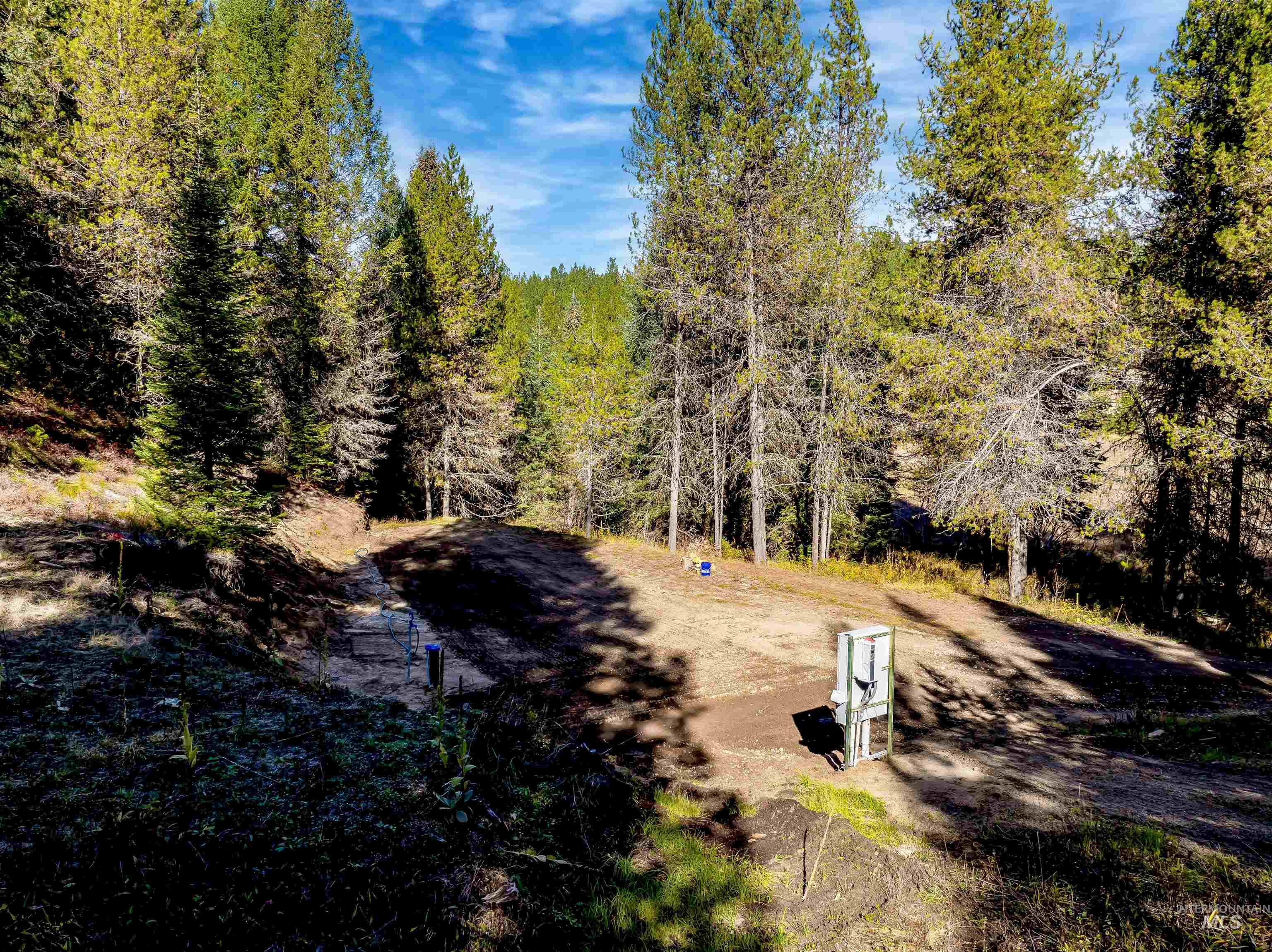 201 Tripod View Cascade, ID 83611 - Photo 29 of 41 View of yard with a view of trees