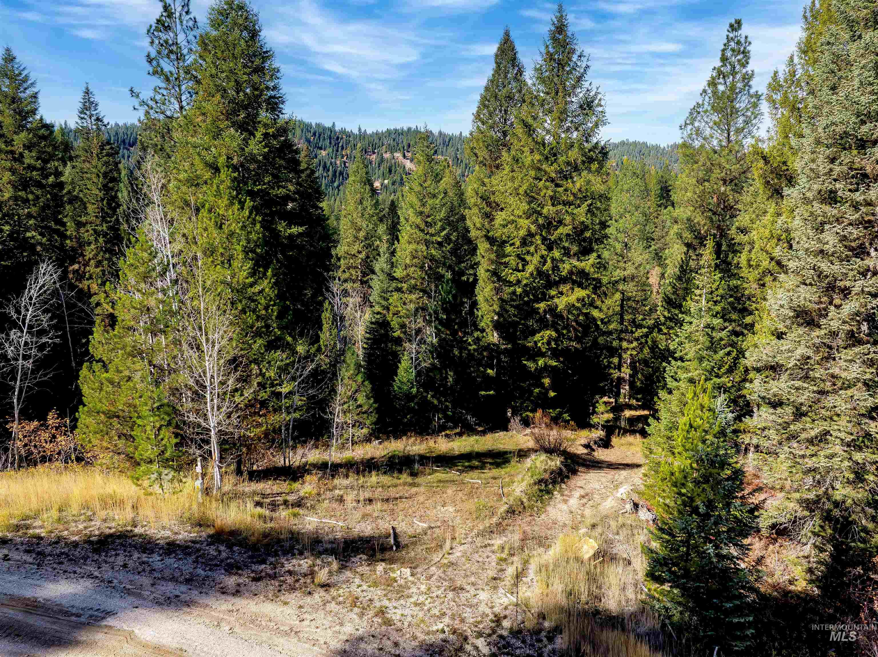 201 Tripod View Cascade, ID 83611 - Photo 33 of 41 View of tree filled area