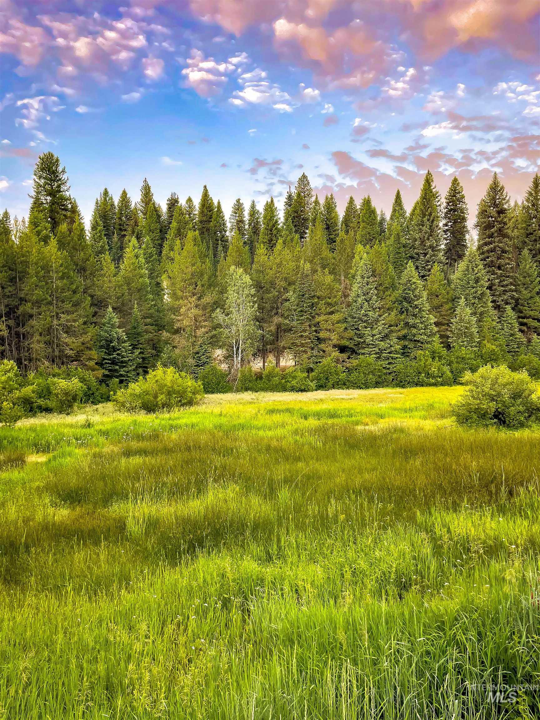 201 Tripod View Cascade, ID 83611 - Photo 34 of 41 View of yard with a view of trees