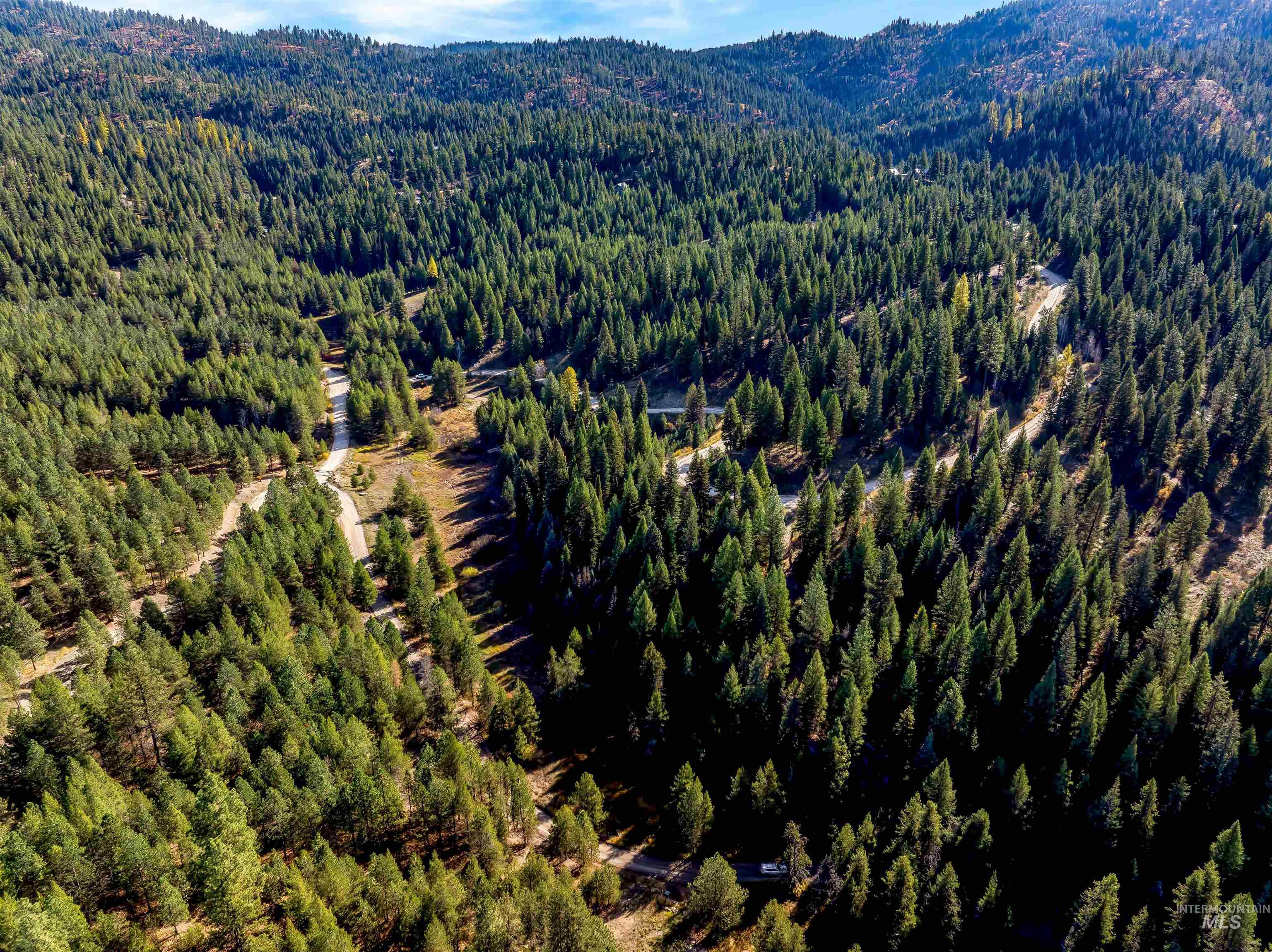 201 Tripod View Cascade, ID 83611 - Photo 6 of 41 Drone / aerial view of a heavily wooded area
