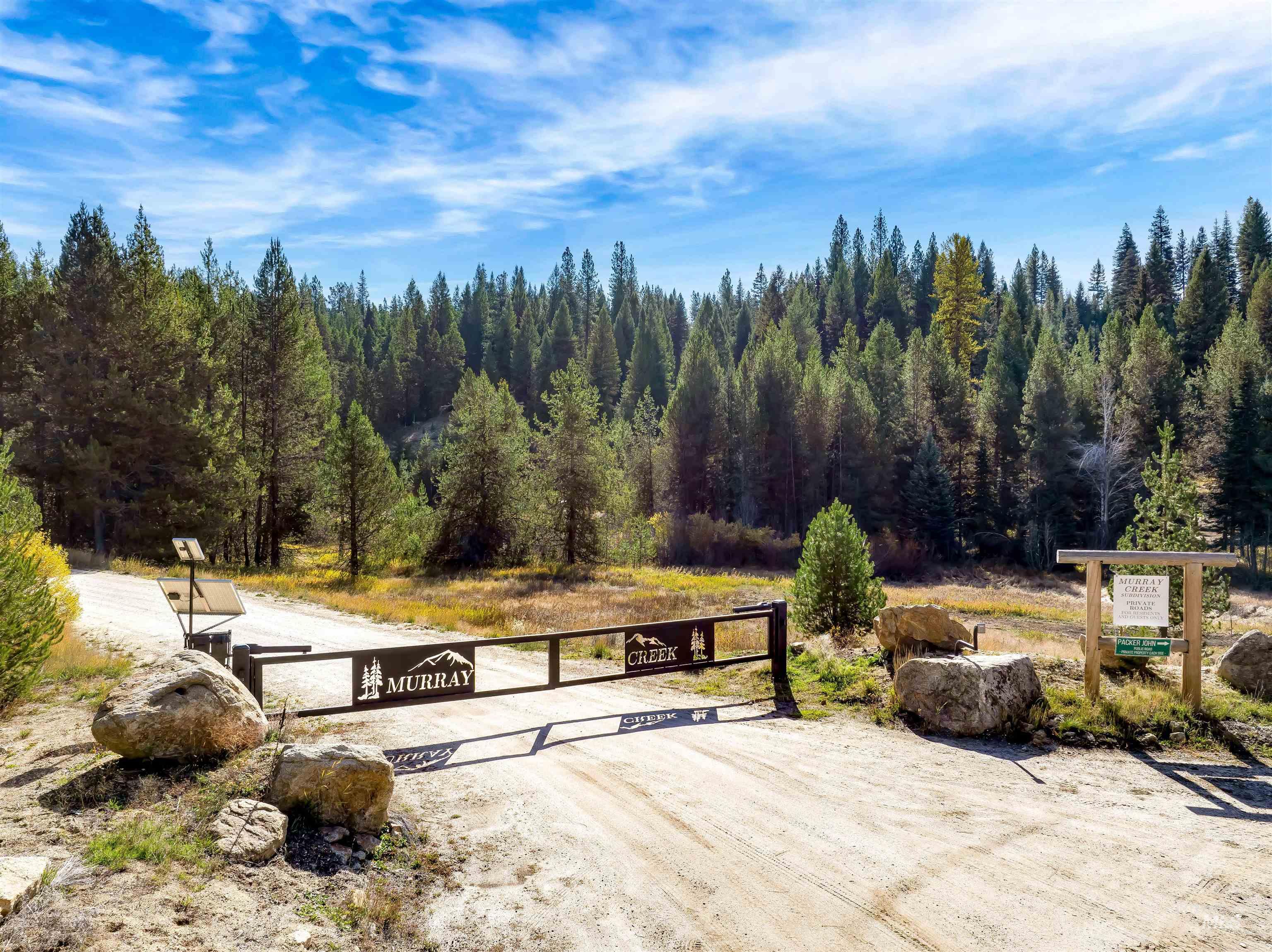 201 Tripod View Cascade, ID 83611 - Photo 7 of 41 View of street with a forest view