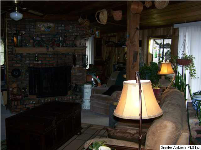 193 Coosa View Lane Riverside, AL 35135 - Photo 12 of 23