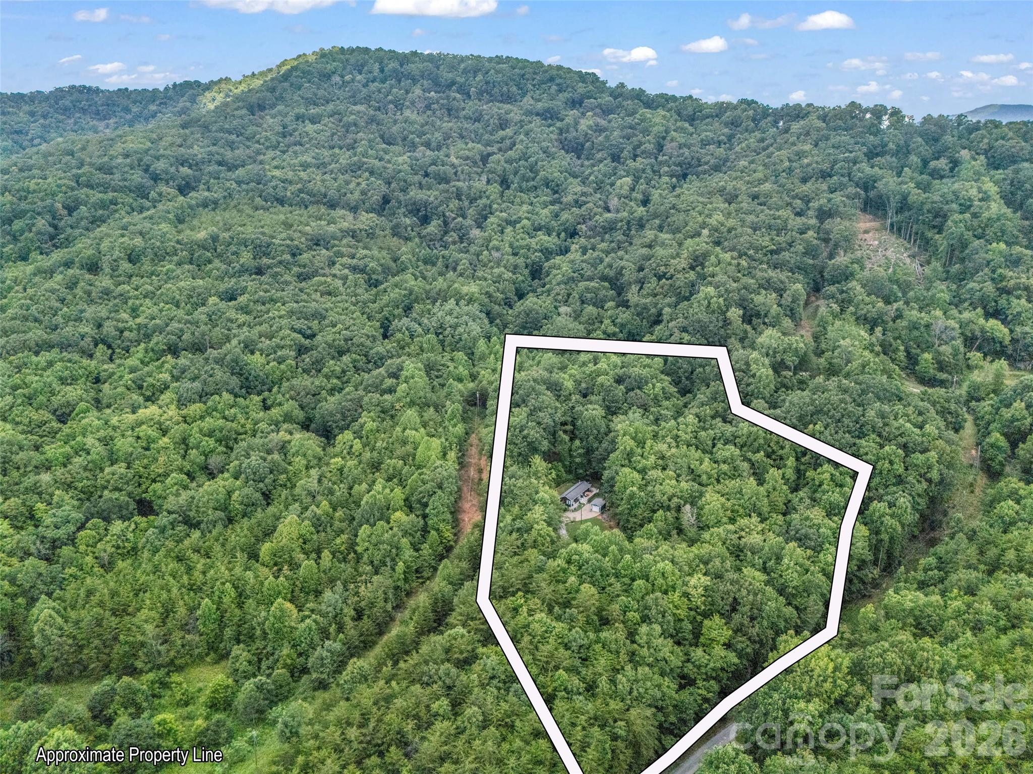 479 Camp Hill Road Mill Spring, NC 28756 - Photo 41 of 48