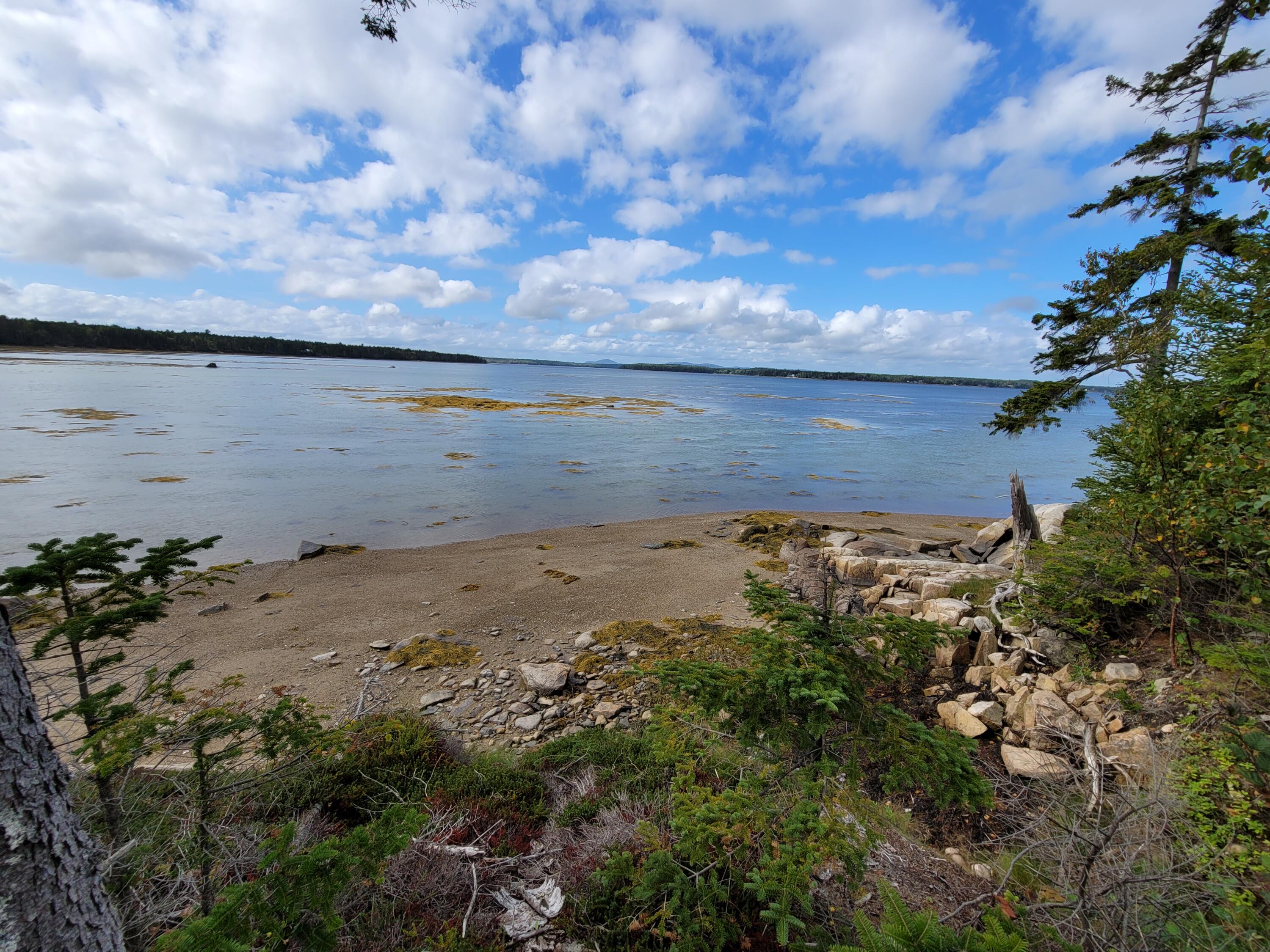 36 Peninsula Shores Road Corea, ME 04624 - Photo 4 of 13 Right Views