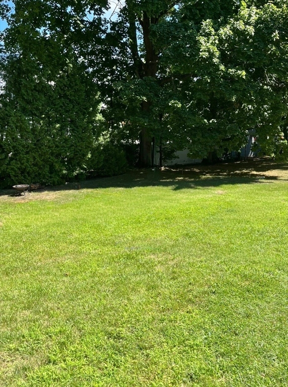 142 Sanders Avenue Lowell, MA 01851 - Photo 28 of 28 a view of a green yard