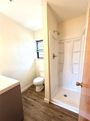 a bathroom with a shower and a toilet