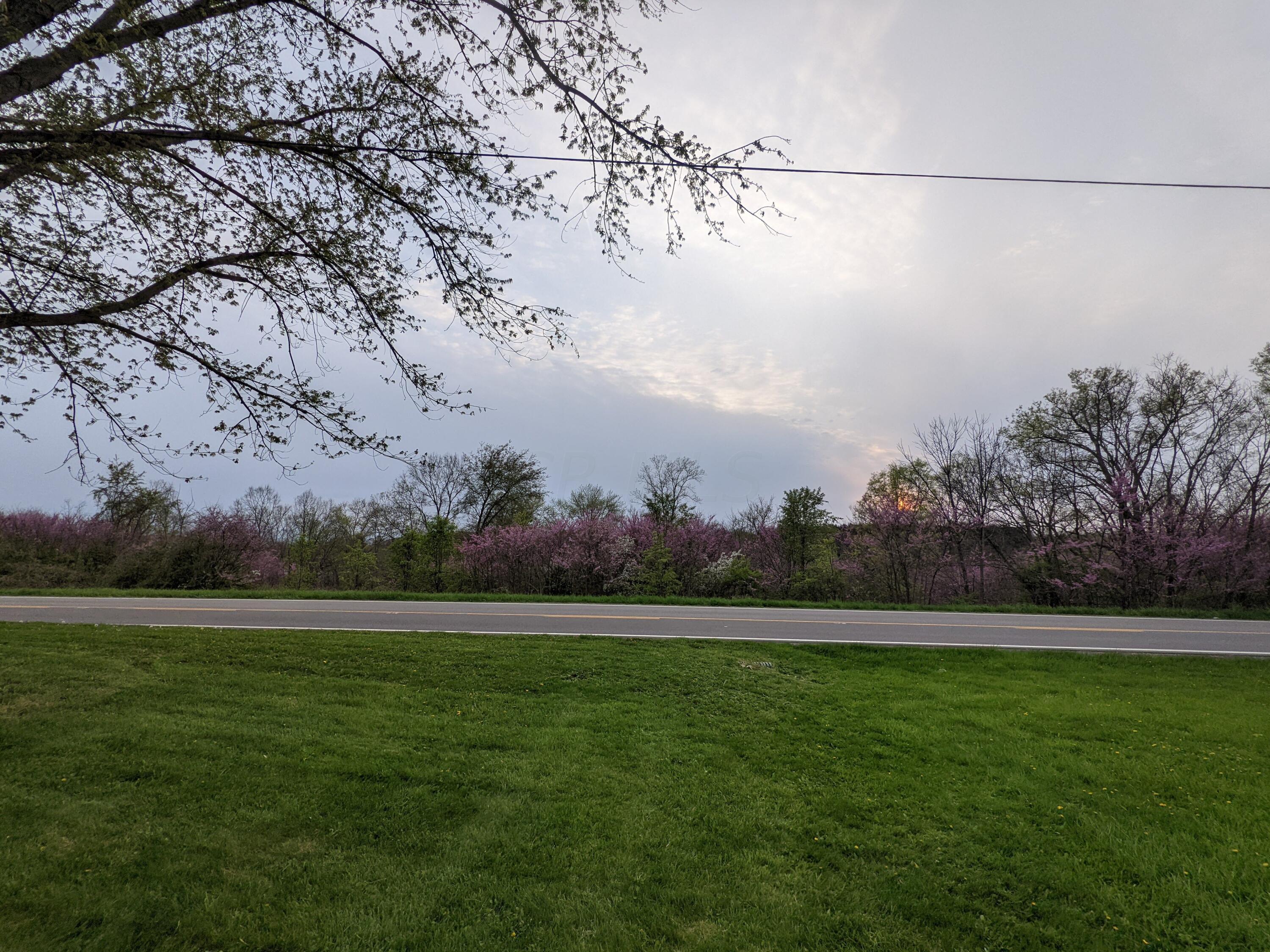 7445 Riverside Drive Powell, OH 43065 - Photo 11 of 21 PXL_20220428_235639286