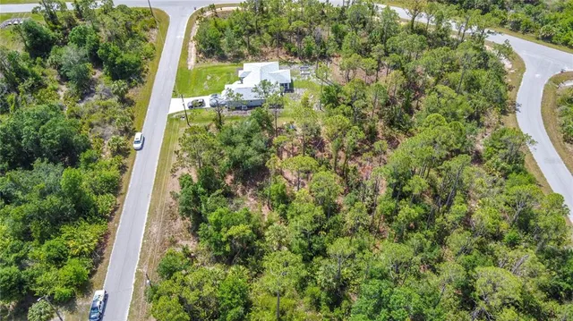 an outdoor space with lots of trees