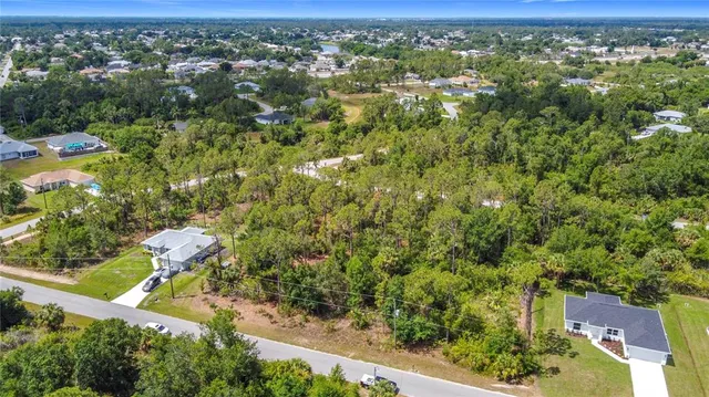 a view of a yard with plants