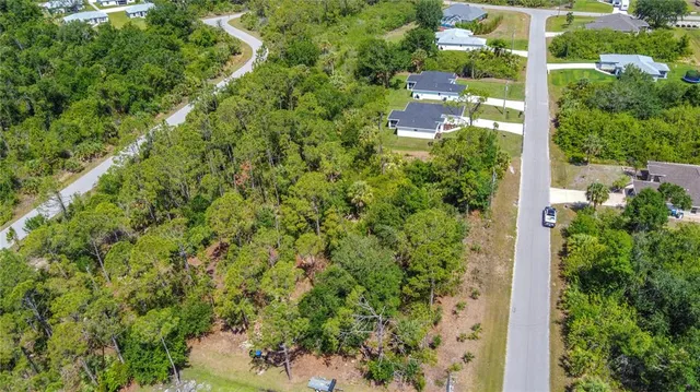 a view of a lush green forest with large trees