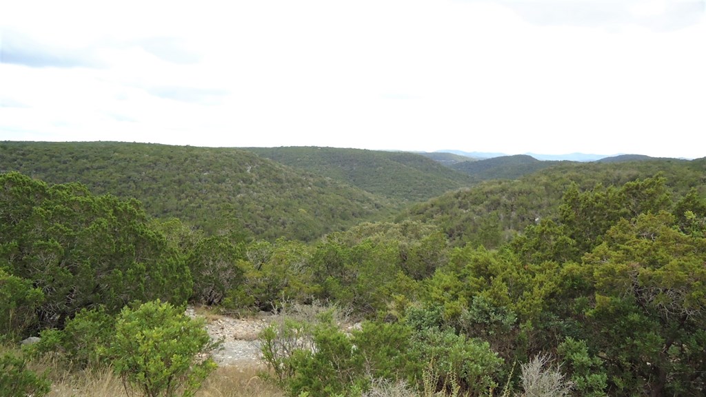 229 Pinon Loop East Camp Wood, TX 78833 - Photo 5 of 24