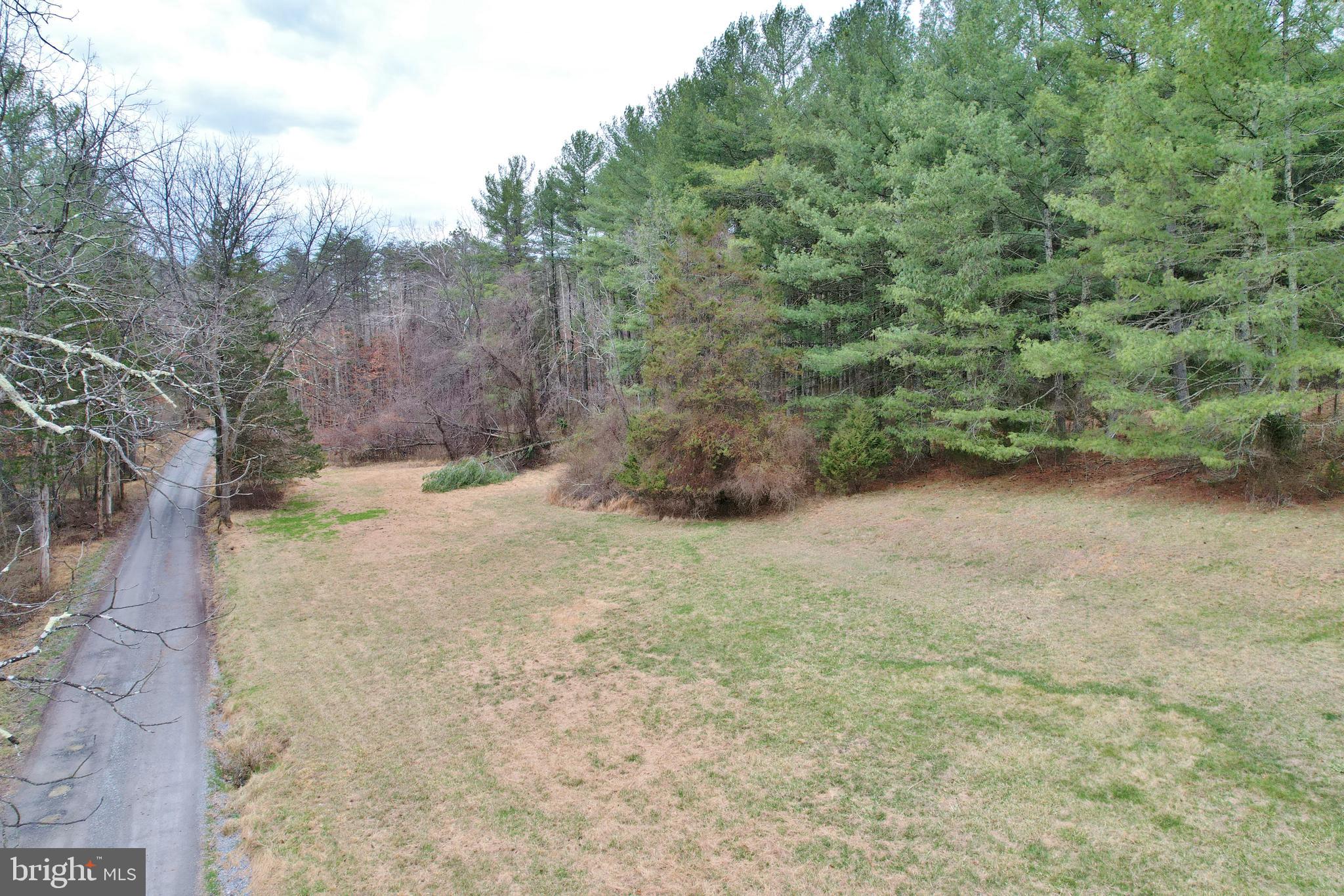 0 Boyer Road Fort Valley, VA 22652 - Photo 11 of 38 a view of a yard with a trees