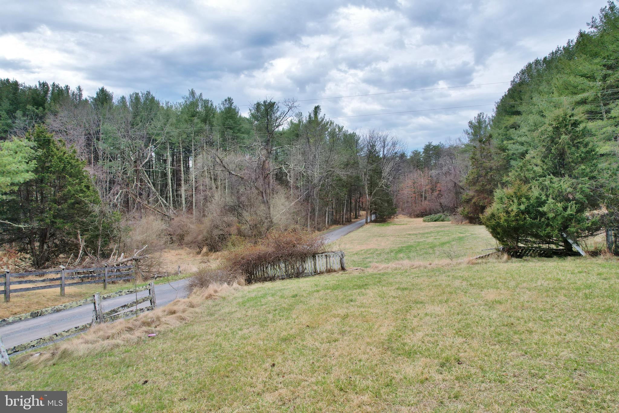 0 Boyer Road Fort Valley, VA 22652 - Photo 12 of 38 a view of a yard with an trees