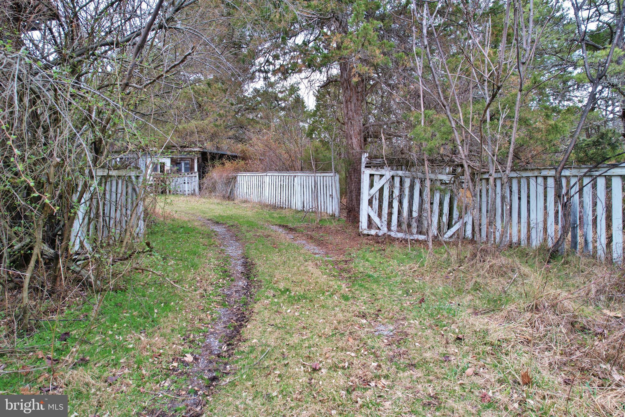 0 Boyer Road Fort Valley, VA 22652 - Photo 13 of 38 a view of backyard with green space