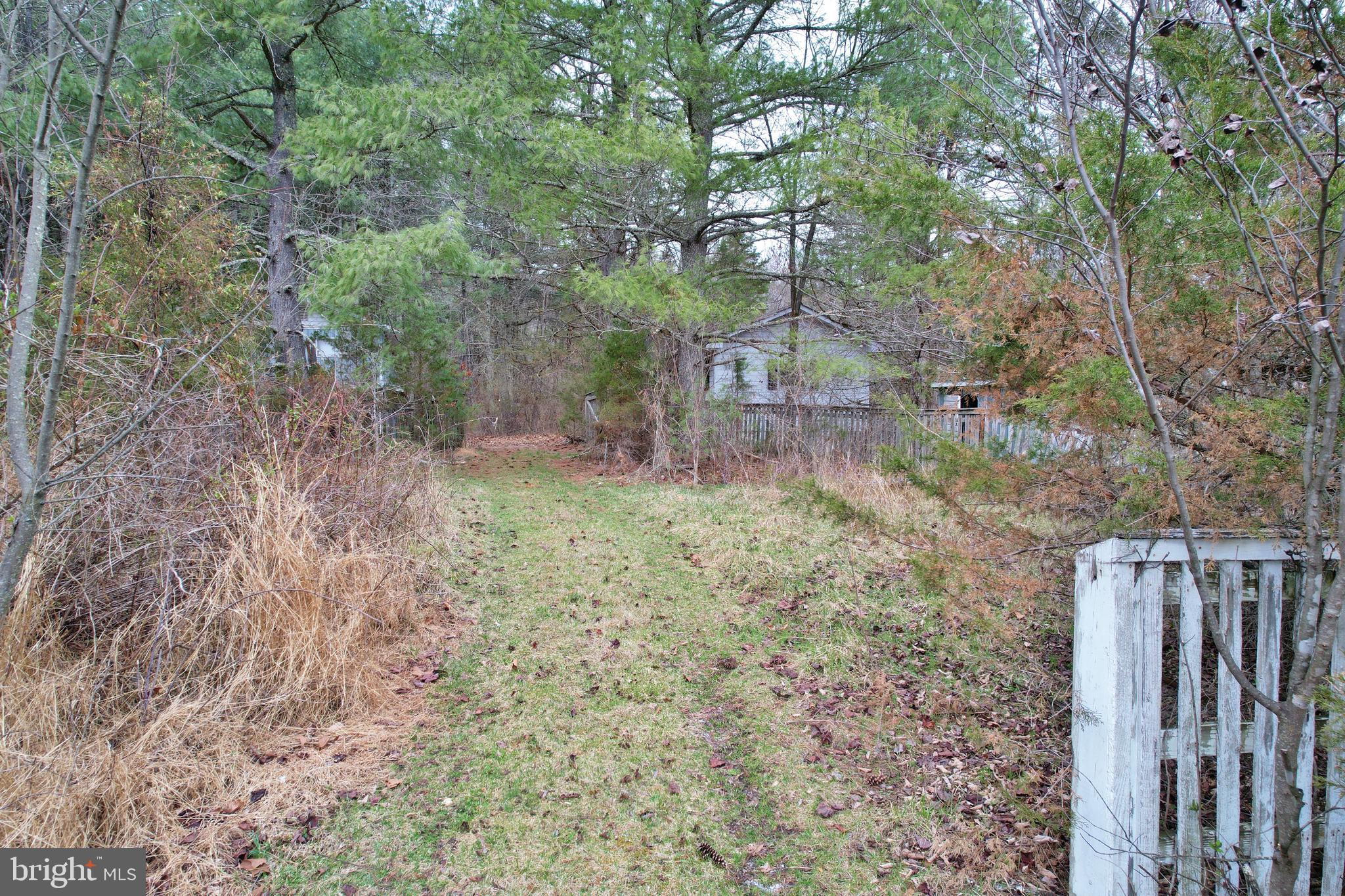 0 Boyer Road Fort Valley, VA 22652 - Photo 15 of 38 a backyard of a house with lots of green space