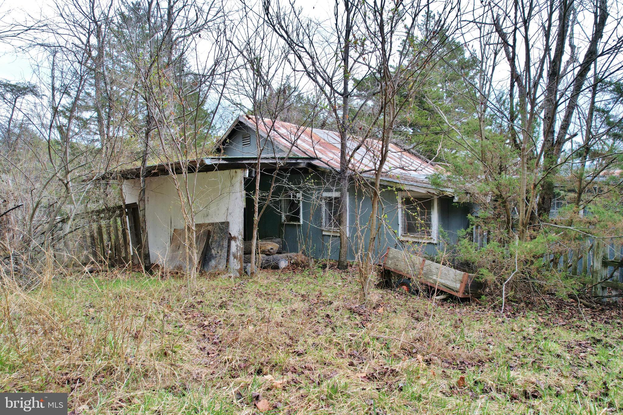 0 Boyer Road Fort Valley, VA 22652 - Photo 16 of 38 a view of a house with a yard and large tree