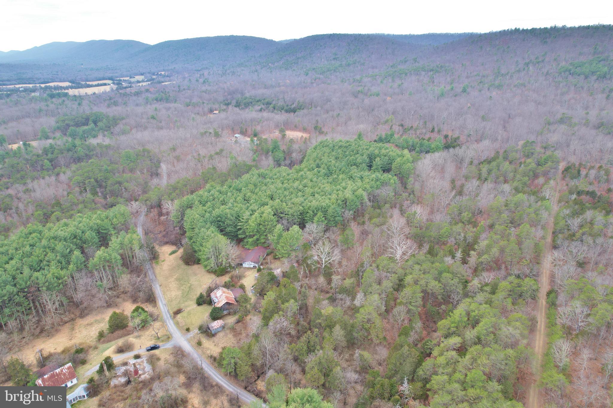 0 Boyer Road Fort Valley, VA 22652 - Photo 23 of 38 a view of a dry green field