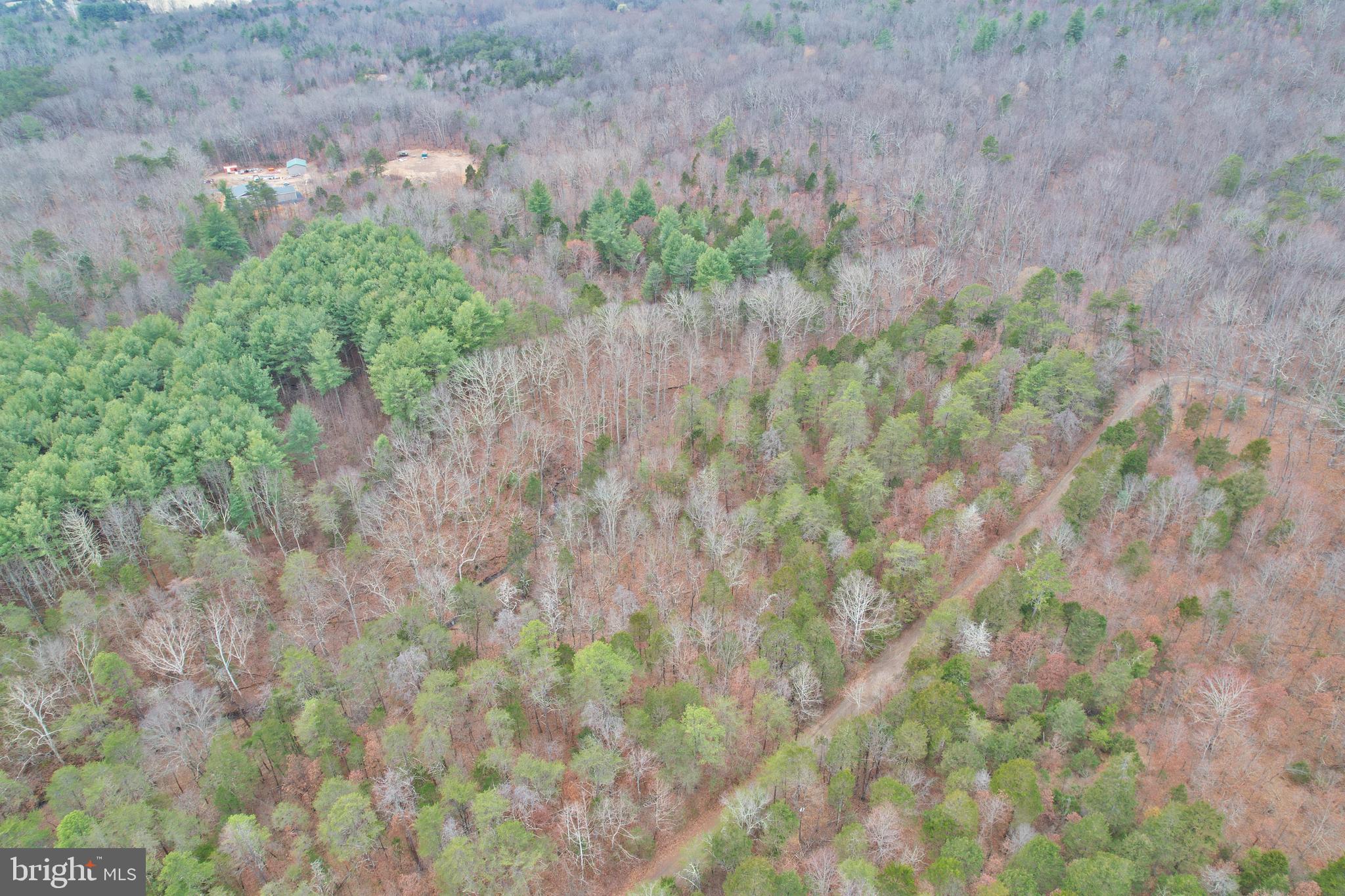 0 Boyer Road Fort Valley, VA 22652 - Photo 29 of 38