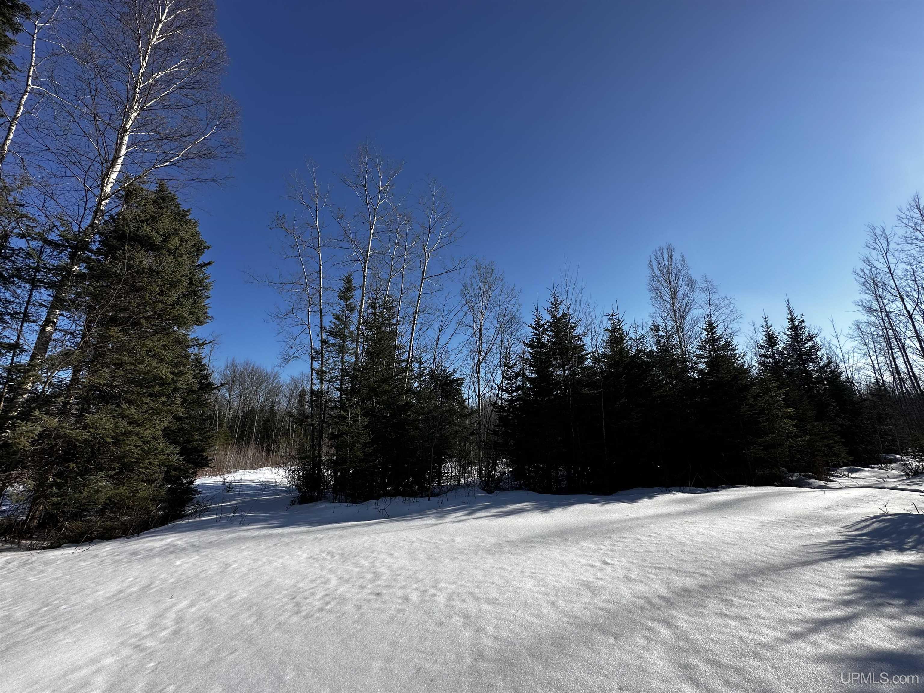8333 Solberg Lake Road Iron Mountain, MI 49801 - Photo 7 of 8