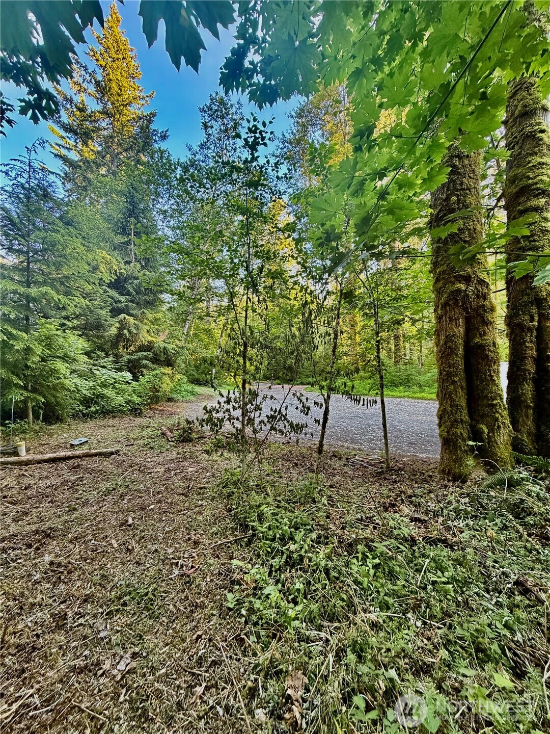 7546 Colleen Court Deming, WA 98244 - Photo 5 of 27