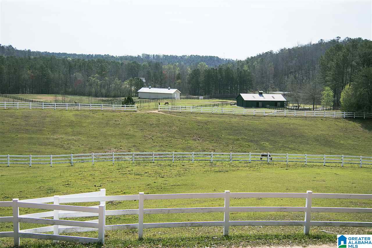 1066 Signal Valley Trail Chelsea, AL 35043 - Photo 32 of 40