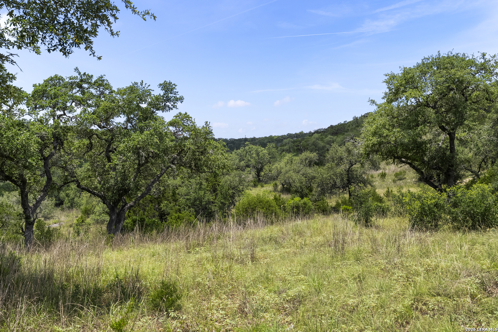 29091 Cibolo Cliff Road Bulverde, TX 78163 - Photo 29 of 42