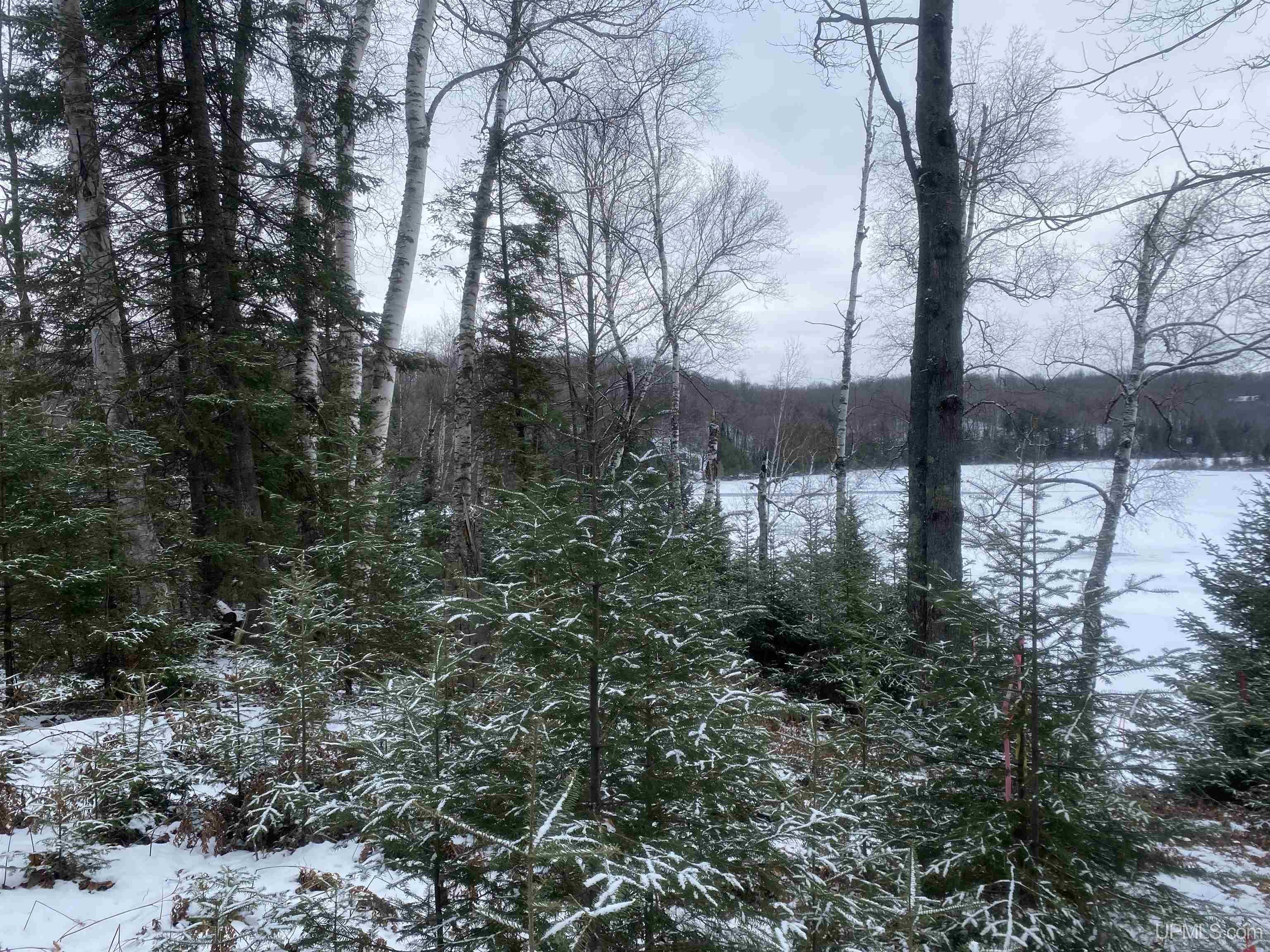Tbd Pomeroy Lk Road Marenisco, MI 49947 - Photo 3 of 6