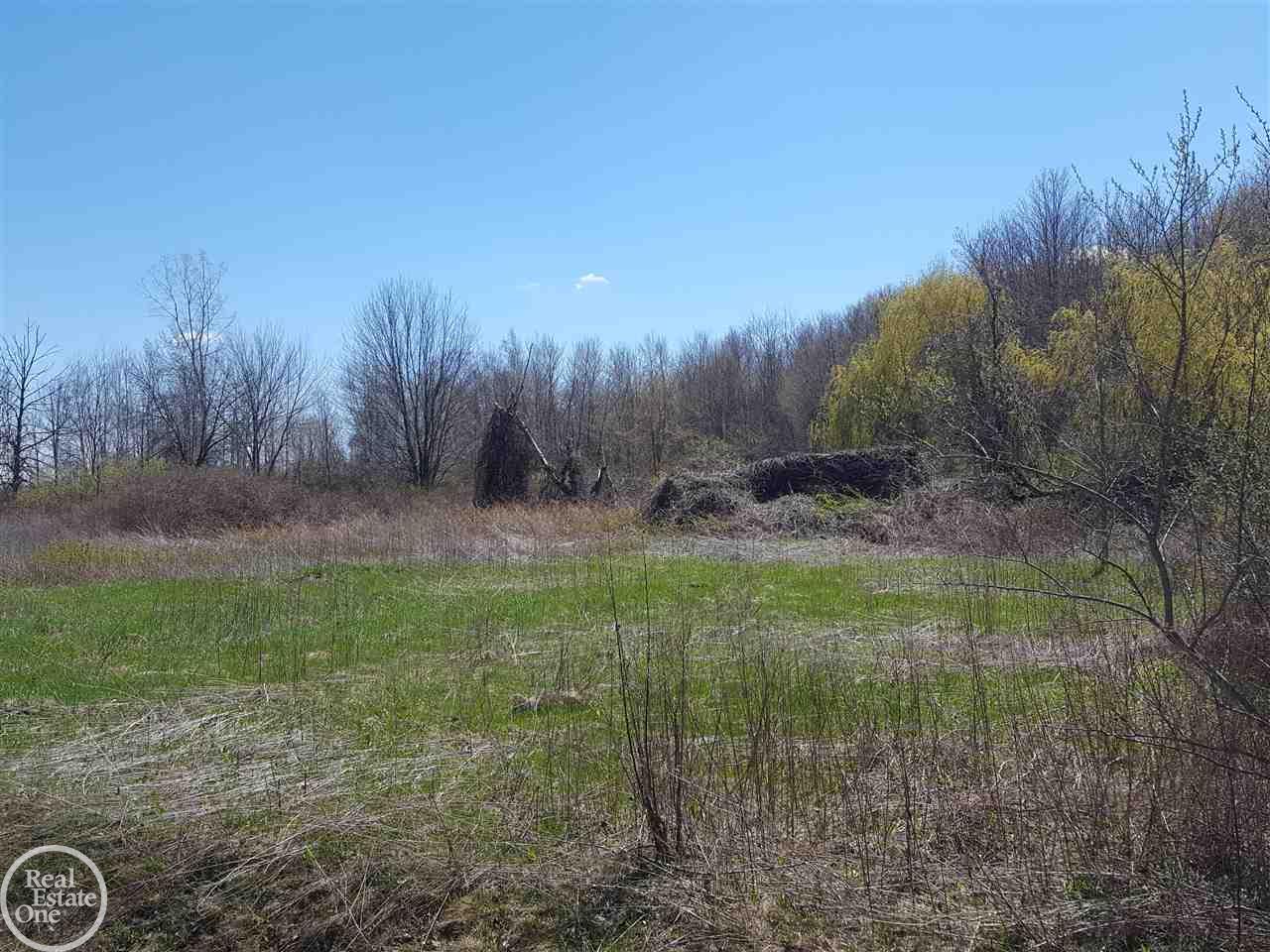 8233 Comstock Road Avoca, MI 48006 - Photo 4 of 7