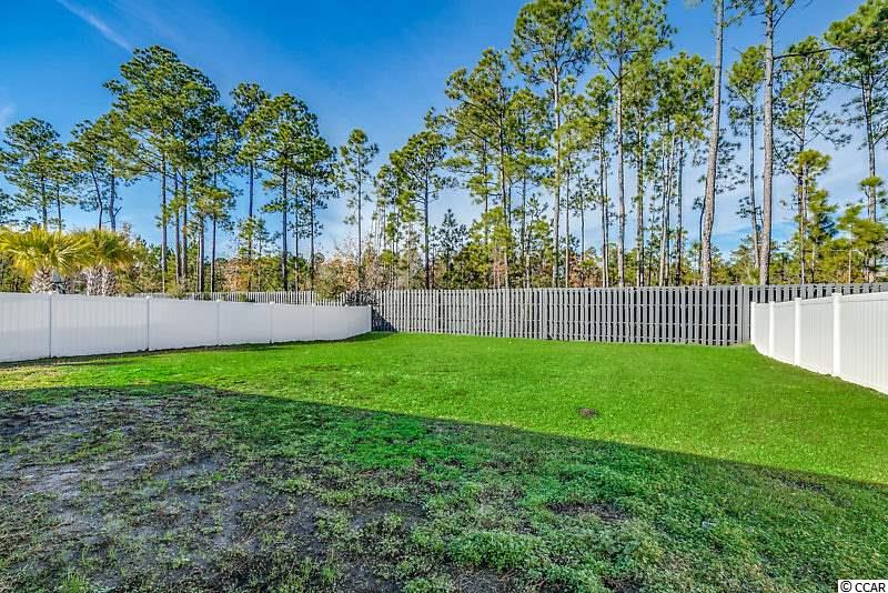 344 Firenze Loop Myrtle Beach, SC 29579 - Photo 24 of 38 Gallery Image 24
