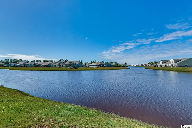 344 Firenze Loop Myrtle Beach, SC 29579 - Photo 29 of 38 Gallery Image 29