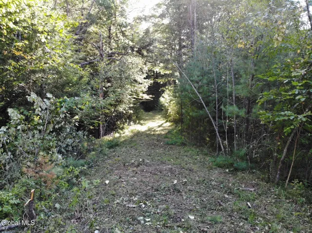 $139,900 | L8 Wrights Farm Road, Bolton Landing, NY 12814