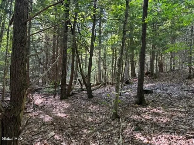 $139,900 | L8 Wrights Farm Road, Bolton Landing, NY 12814