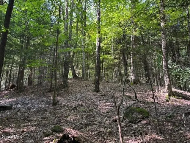 $139,900 | L8 Wrights Farm Road, Bolton Landing, NY 12814